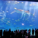 Dubai aquarium