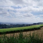 Burgundian landscape