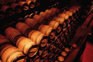 Barrels-in-cellar