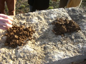 Clos Blanc de Vougeot soil (L) vs Clos de Vougeot soil (R)