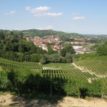 canale beyond cornarea vines