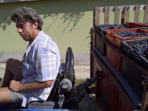 Manuel drives in the harvest