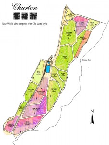 Churton's Vineyard Plan