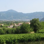 Franciacorta