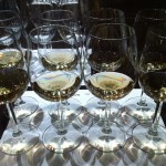 Glasses at Krug & DP tasting