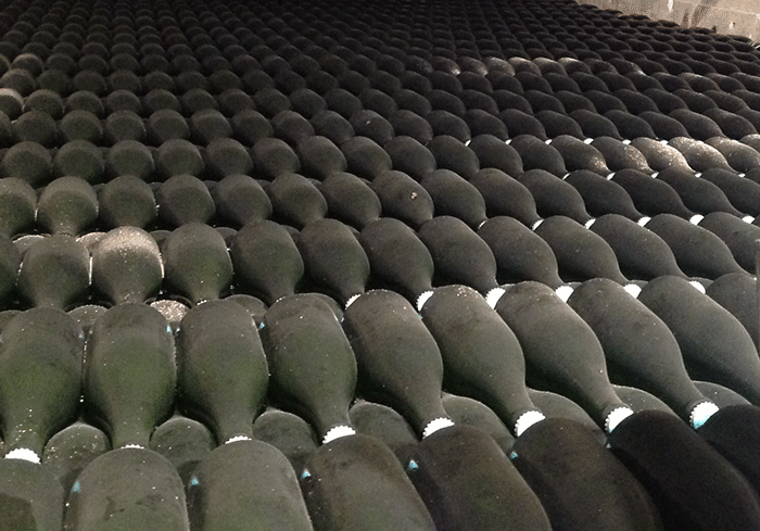 Eight million bottles of Pol Roger Champagne gracefully age in more than 7km of cellars