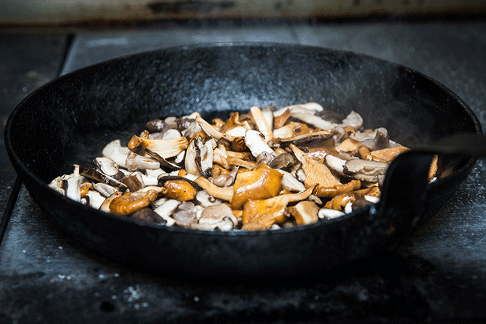 Mushrooms are the tastiest way to enjoy this time of year's earthy, intense flavours