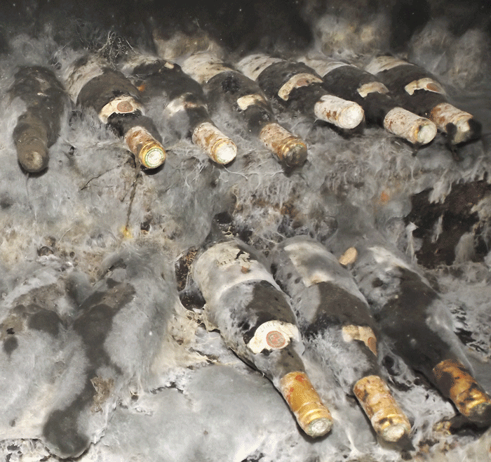 Wines ageing in the cellars at Lefarge