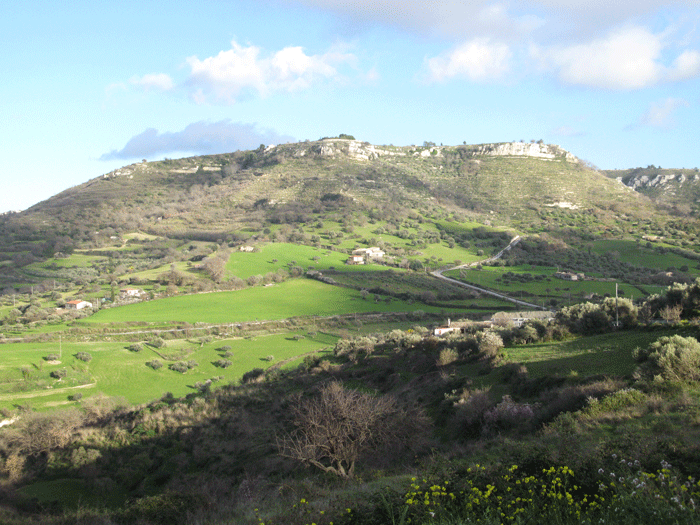 noto-landscape