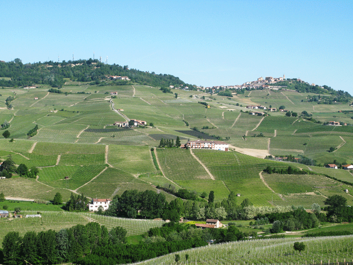 The heart of the matter: Barolo Cannubi,   the historical vineyard between Viganò and the ex-vineyard of Canonica