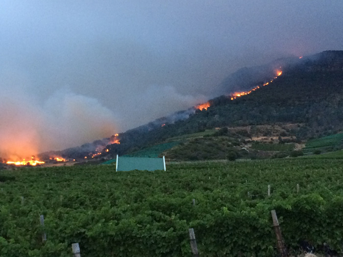 A bush fire in South Africa, as seen from Constantia Glen