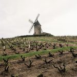 Beaujolais Moulin a Vent by Jason Lowe