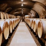 Barrel cellar at Olivier Merlin, Burgundy by Jason Lowe