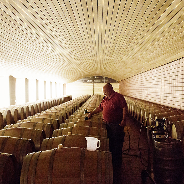 Work in the barrel cellar at Vega Sicilia. Photograph: Jason Lowe