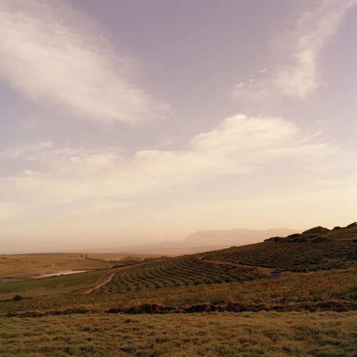 A view across the Swartland, South Africa. Photograph: Jason Lowe