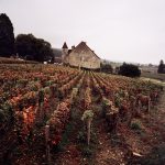 Jason Lowe, France, Burgundy, 2013_28