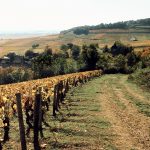 20171020_Berry_Bros_France_Burgundy_Rhone 029