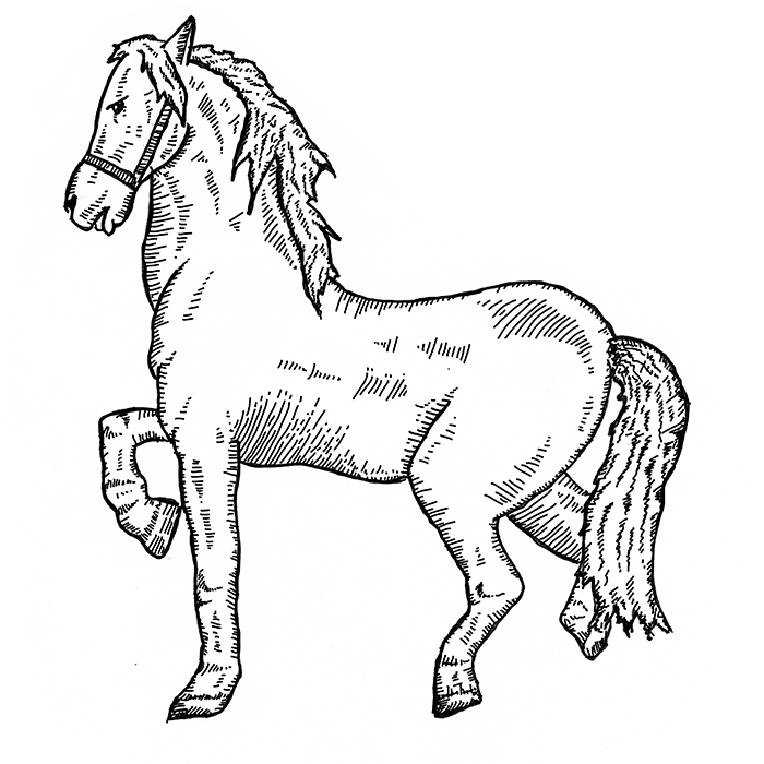 Brettanomyces can smell like horse. Illustration: Nicolas Boron