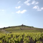 Beaujolais_guide_Jason-Lowe