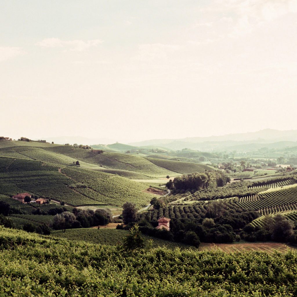 The hills and vineyards of the Piedmont wine region.