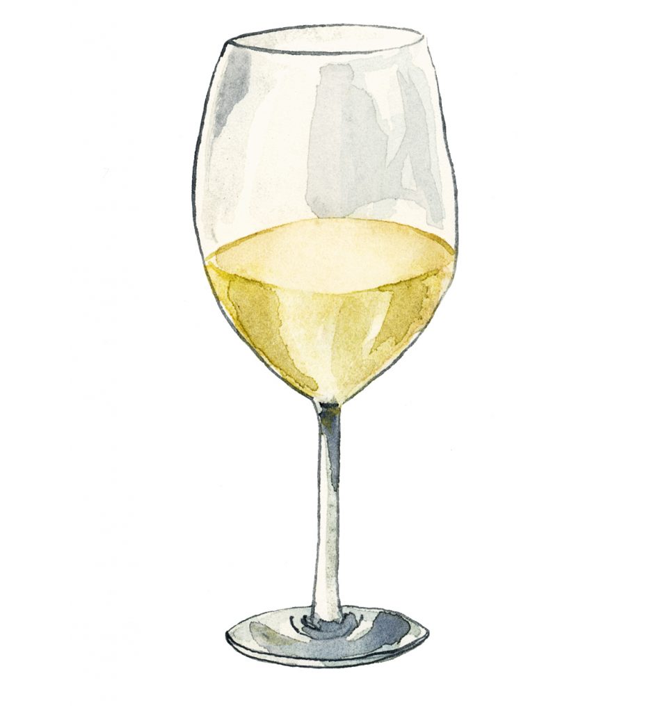 A watercolour illustration of a glass of white wine against a white background. 