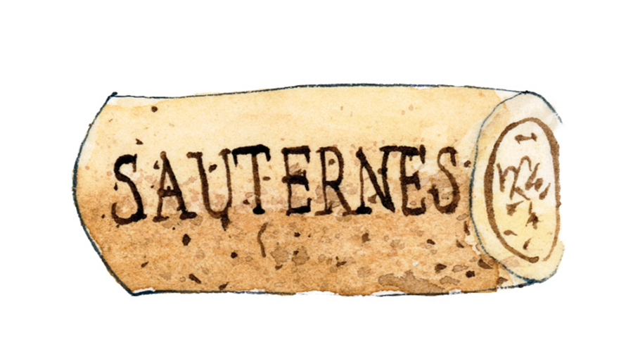 A watercolour illustration of a cork, with "Sauternes" written across it – the name of the appellation famed for some of the world's most famous sweet wines