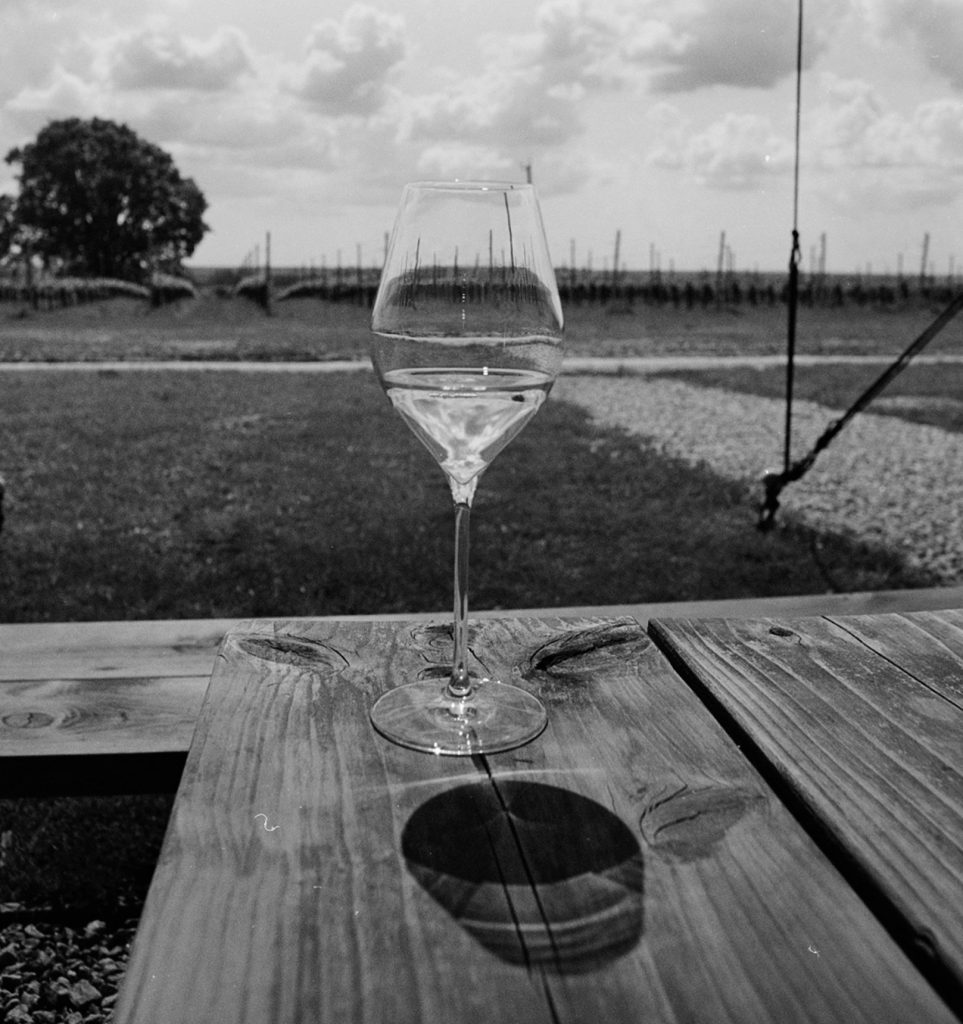 A black-and-white photograph taken on film of a glass of Gusbourne's Boot Hill Blanc de Noirs against the backdrop of the Boot Hill vineyard 